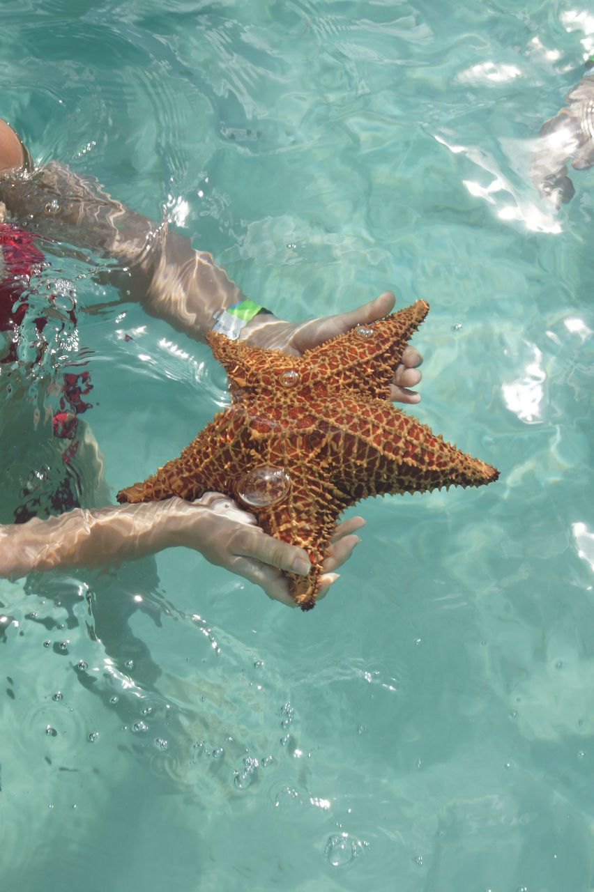 Надежда Муромцева a`mour*mour | Санкт-Петербург