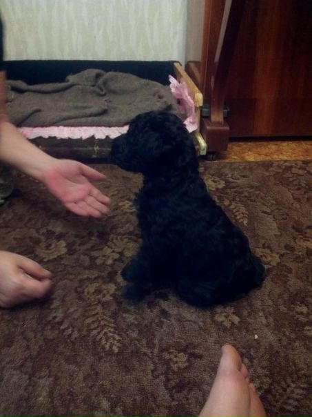 №10, Кирилл Охапкин, 38 лет, Волгоград №10, Кирилл Охапкин, 38 лет, Волгоград