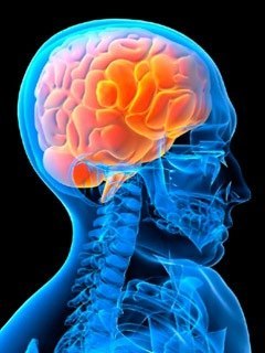 Максим Мишин .ιllιlι. | Мурманск