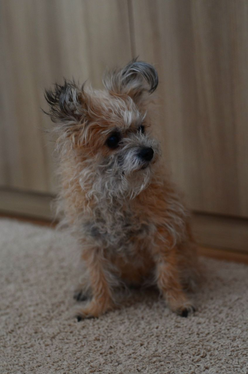 Иришка Шульга -‘๑’- | Таганрог