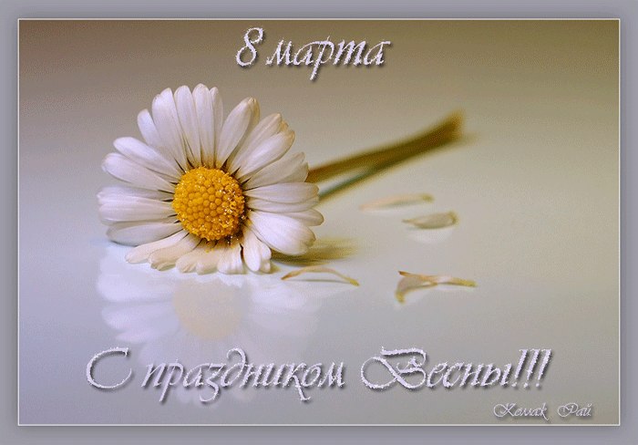 Евгения Крупович | Санкт-Петербург