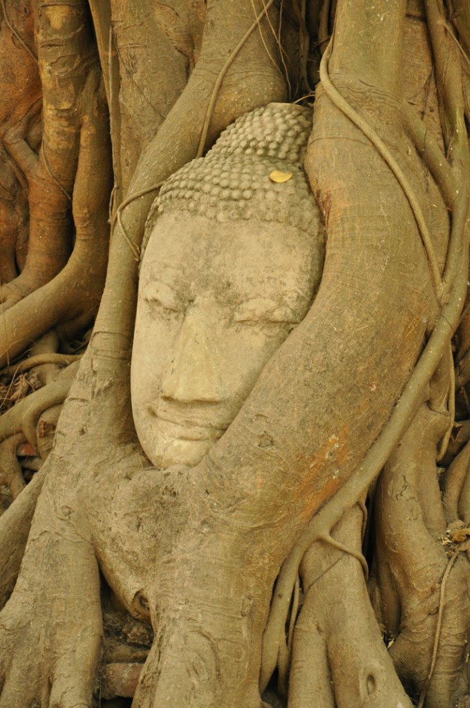 Анна Енина | Москва