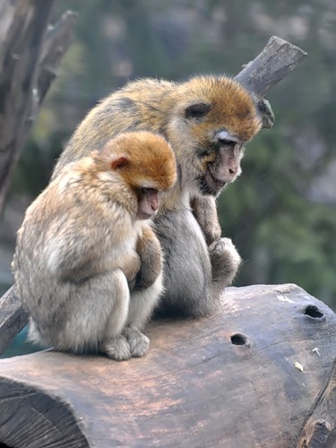 №36, Ольга Ясакова №36, Ольга Ясакова