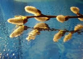 Сергей Марченко | Змиев