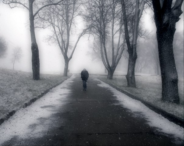 Keyreal Волков OXFORD | Владимир