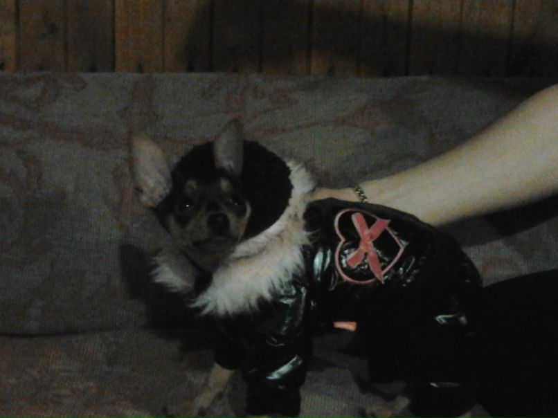 Элечка Светловская | Бокситогорск