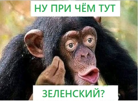 Щодня стає дедалі гірше. Наш уряд годує нас обіцянками, - громадяни України, які чекають евакуації з Уханя, записали звернення - Цензор.НЕТ 3518