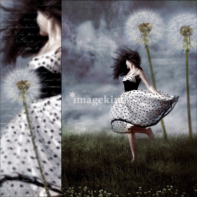 Александра Жезлова | Владимир