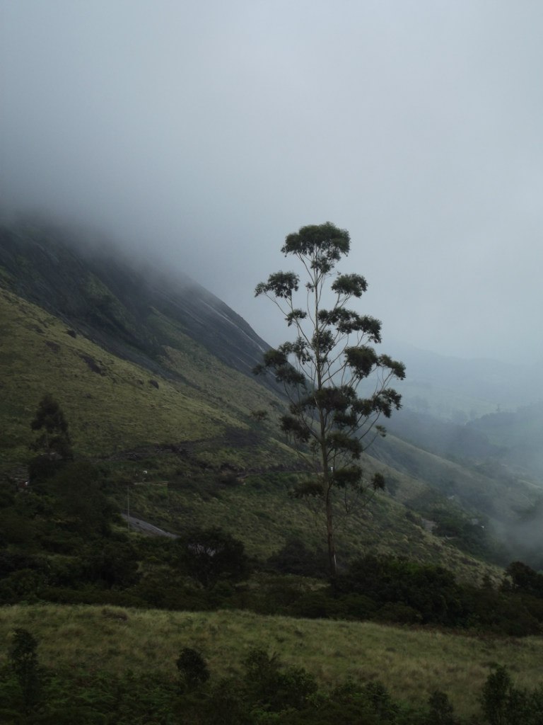 Игорь Гоголев | Тель-Авив