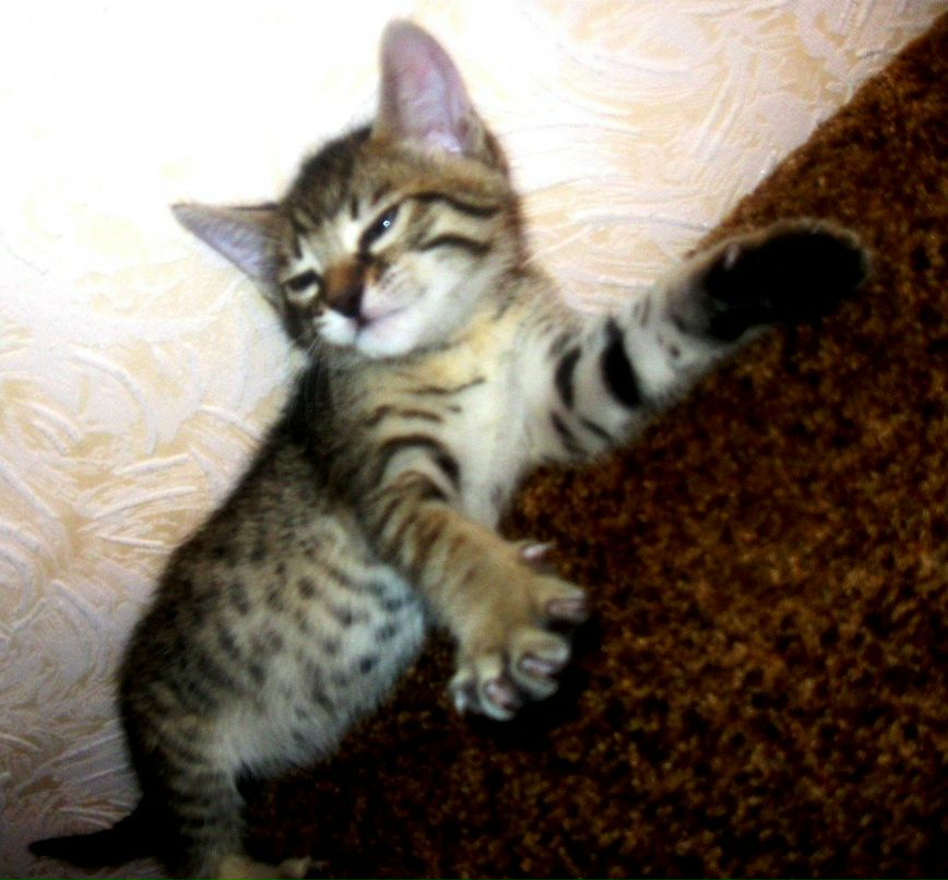 Руслан Алексеевич | Красноярск