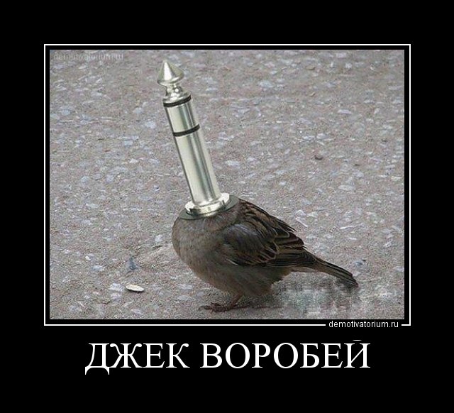 Айгуль Нестеренко | Москва