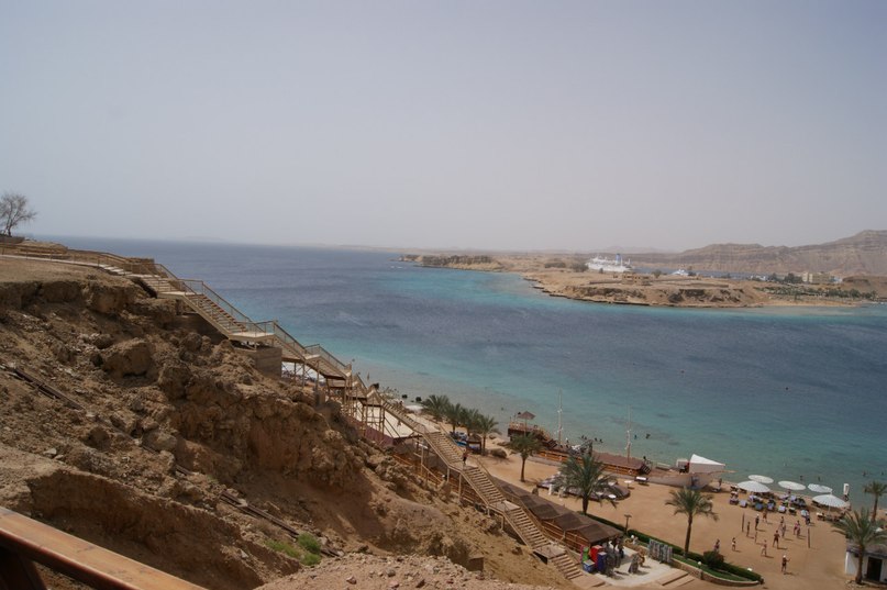 Михаил Королевич | Петрозаводск