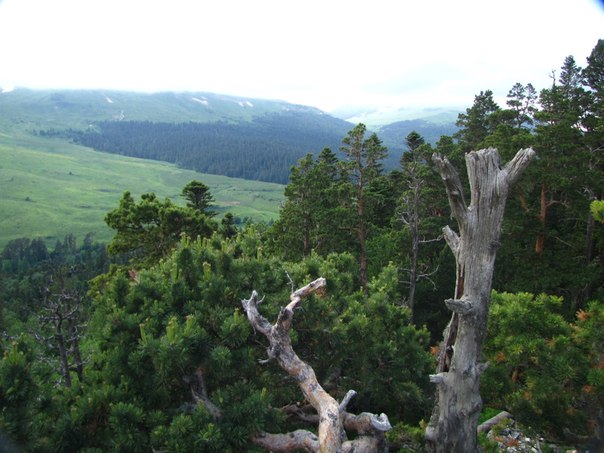 №19, Николай Холмовой, Краснодар, Россия №19, Николай Холмовой, Краснодар, Россия