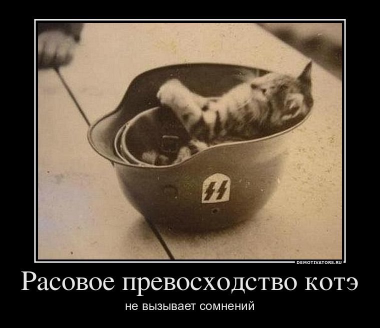 Викентий Митусов-Доманский | Барановичи