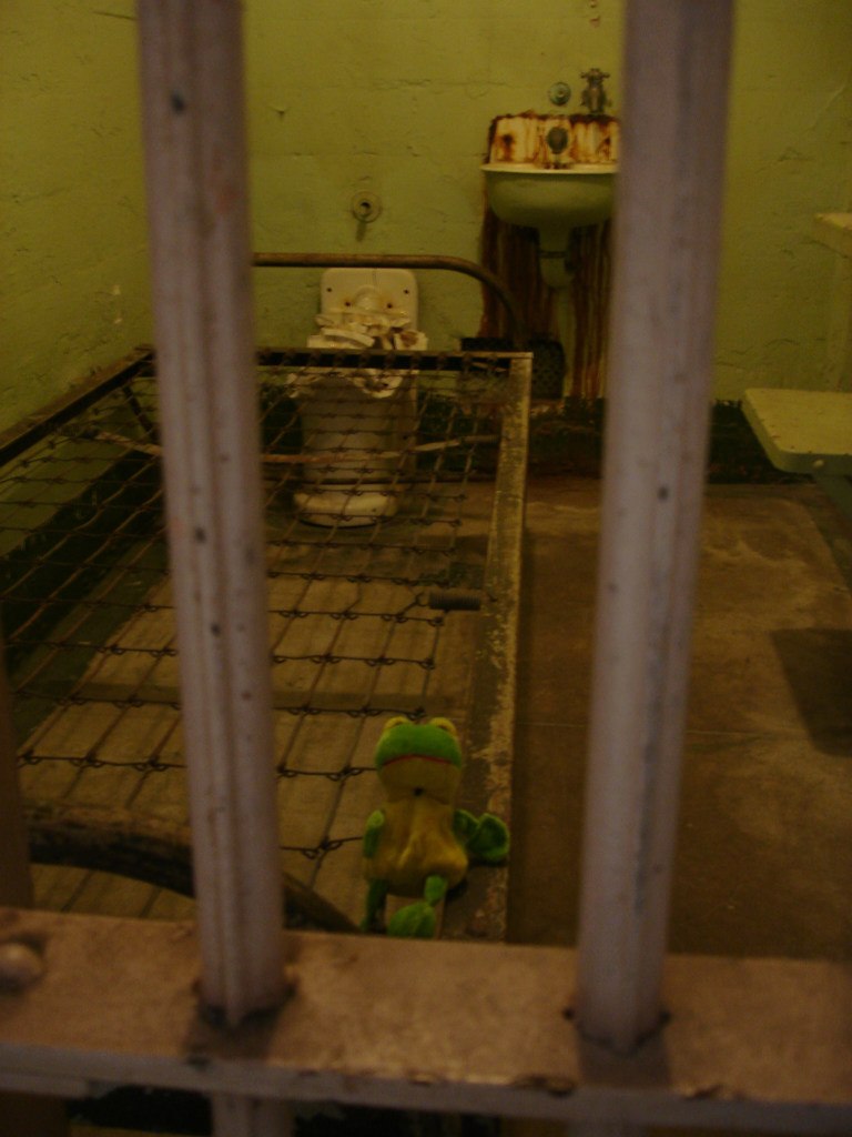 Лягуха Зырящая | Санкт-Петербург