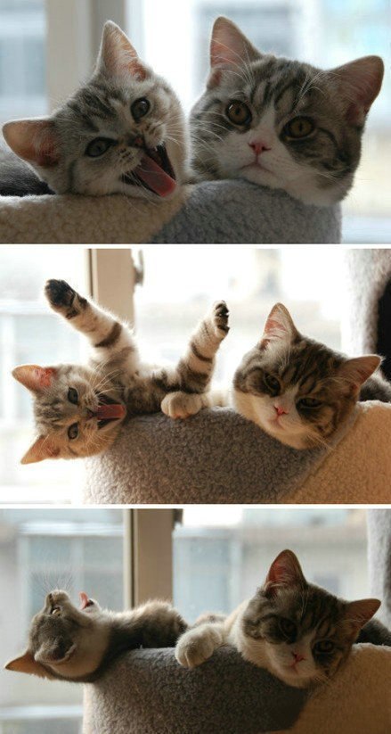 Мария Иванова | 