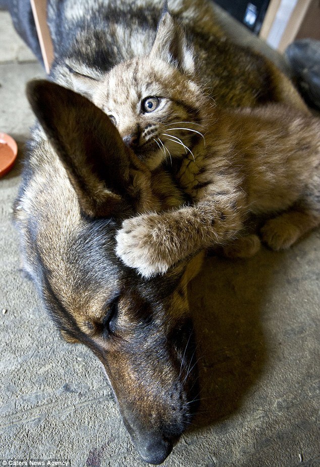 Александр Егоров | 