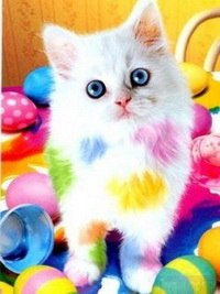 Алина Мазуренко | Бердянск