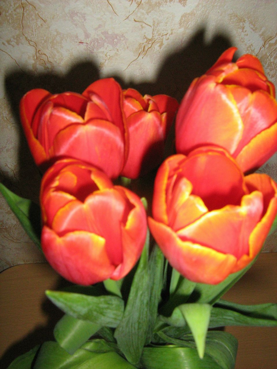 Кристина Гуркова | Москва