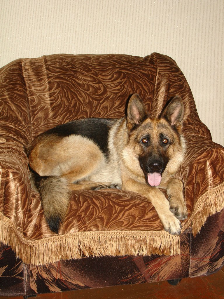 Дима Карпов Сергеевич | Челябинск