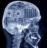 №100, Олег Жуков, Брянск №100, Олег Жуков, Брянск