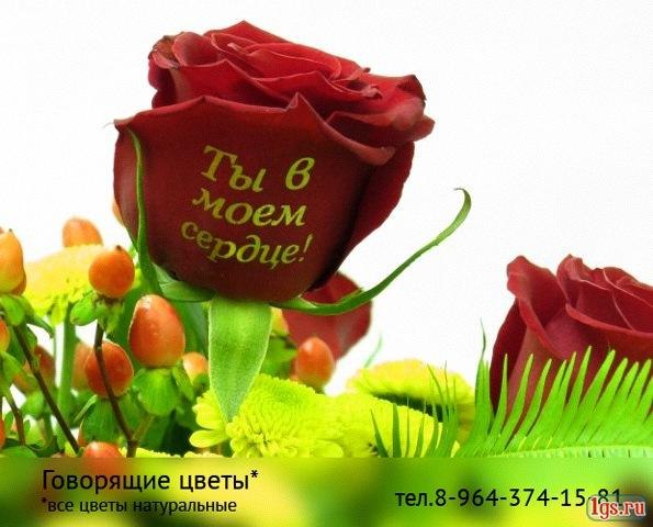 Евгений Леконцев | Красноярск