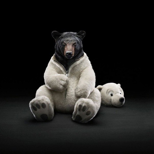 Мурад Арсланбеков | Избербаш