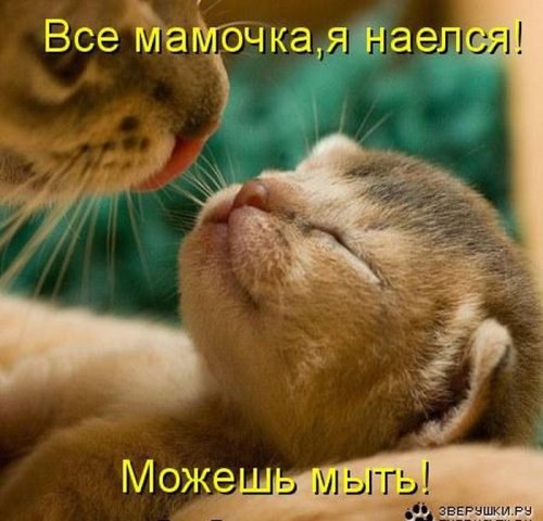 Екатерина Батурина Сергеевна | Харьков