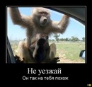 Фотография Пустячка Юрочки