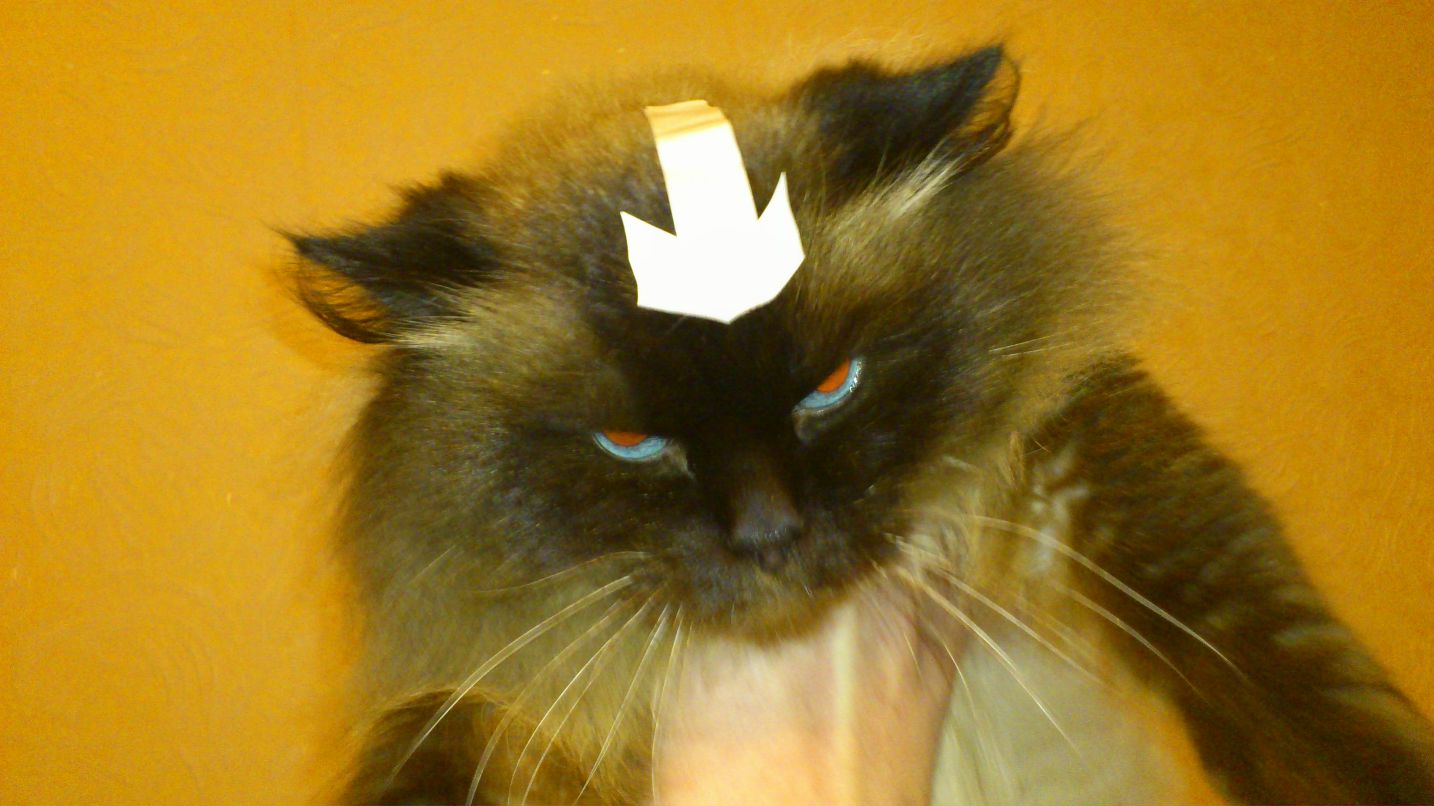 Юра Корнійчук | Bologna