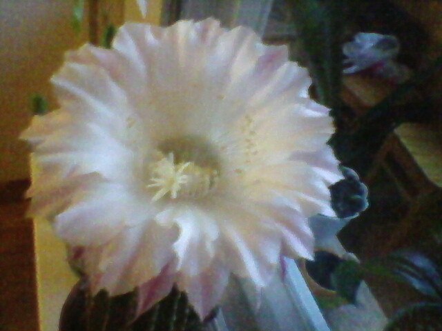 Наталья Митюхина | Москва