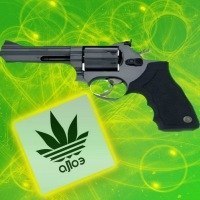 Анатолий Квитковский | Новосибирск