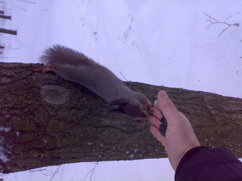 Кирилл Раков | Санкт-Петербург