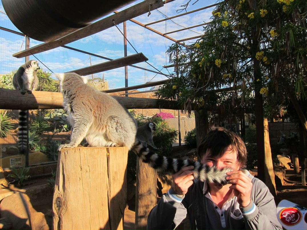 Альберт Любимов | Калининград