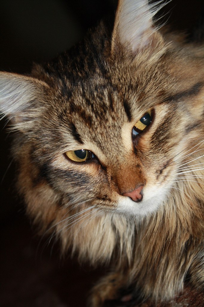 Анна Закирова | Казань