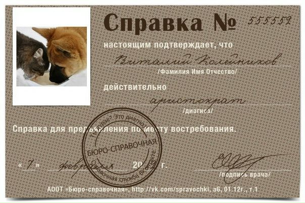 №13, Виталий Колейников, 30 лет, Магистральный №13, Виталий Колейников, 30 лет, Магистральный