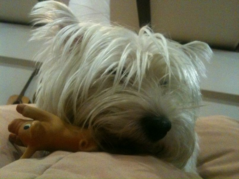 Дмитрий Луценко | Москва