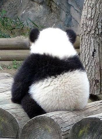 Анастасия Дударева | 