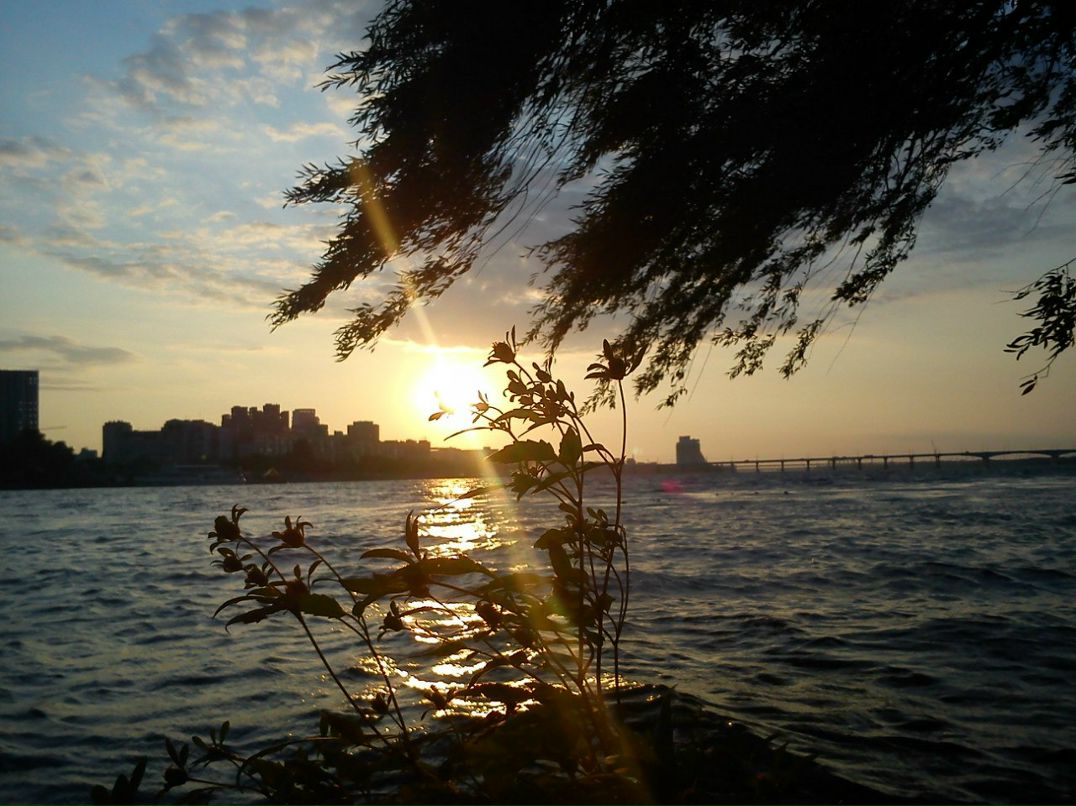 Саша Махно | 