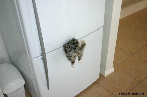 Андрей Михайлов | Тольятти