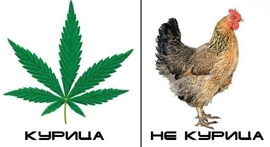 Дмитрий Бубсов | Санкт-Петербург