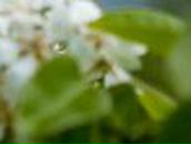 Ксения Ломовцева | Тольятти