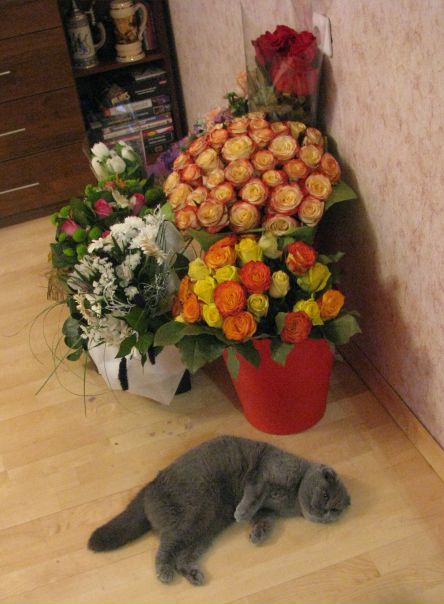 №30, Инна Горковенко, Москва, Россия №30, Инна Горковенко, Москва, Россия