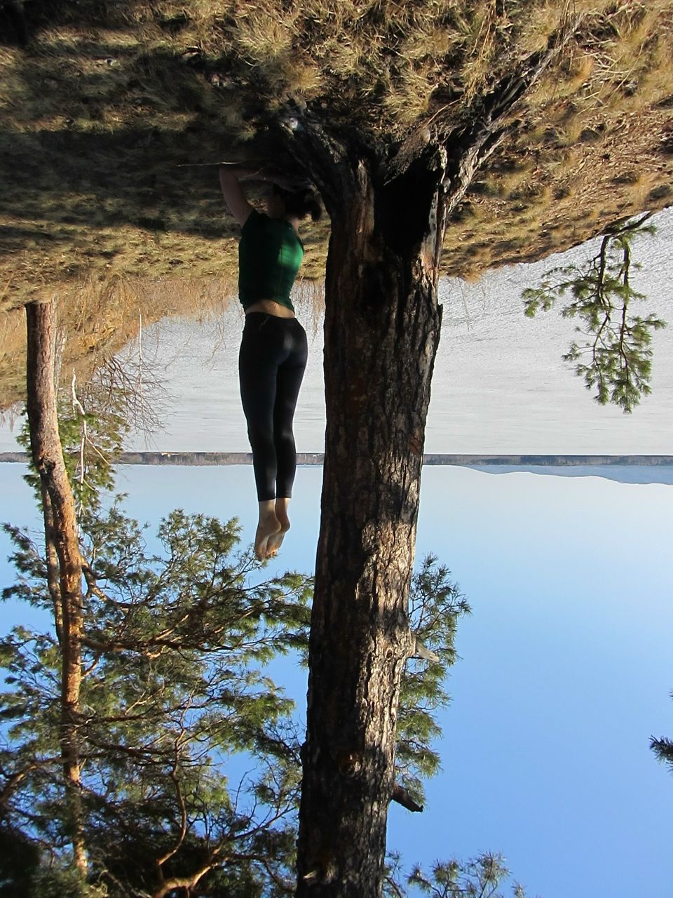 Алеся Верина | 