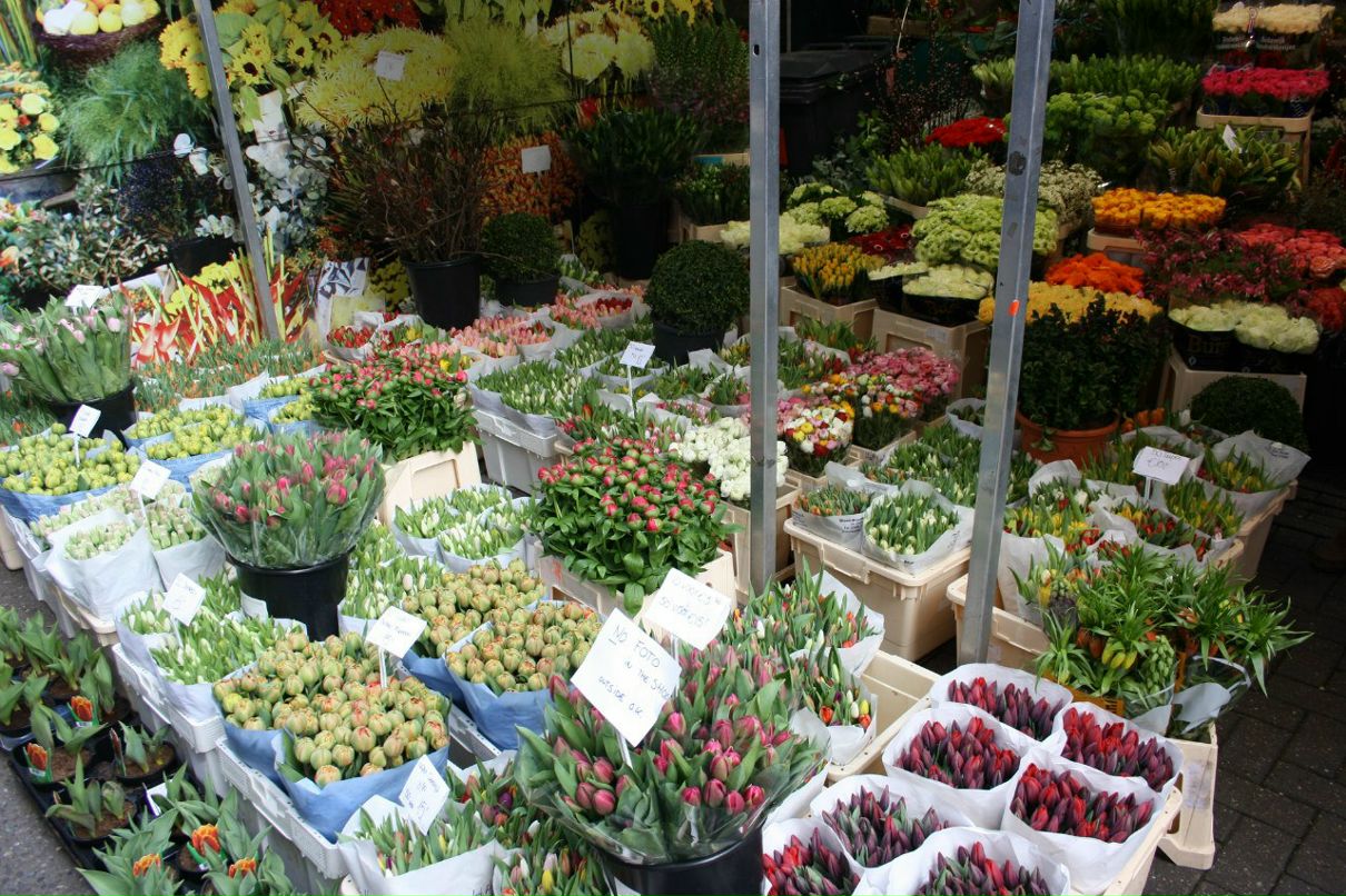 Mila Zykova-Tronina | Praha