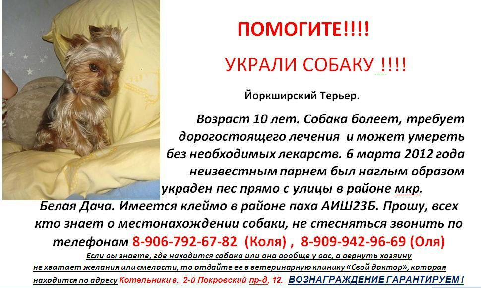№9, Николай Янгаев №9, Николай Янгаев