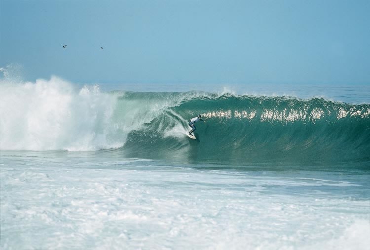 Алексей Вавилов | Москва