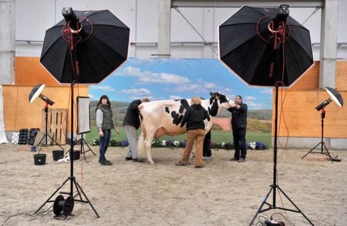 Андрей Пустельников | Витебск