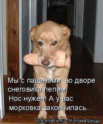 Алёна Замышляева | Луна