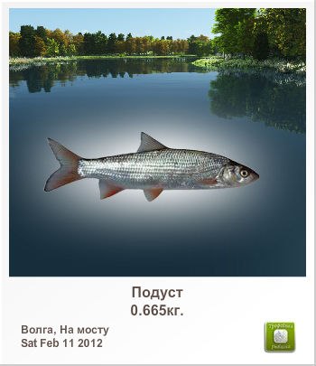 Денис Криводанов | Тюмень